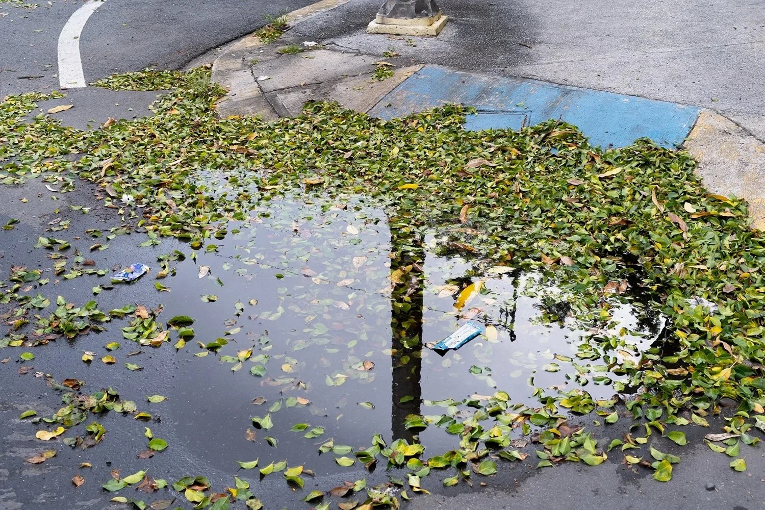 Puerto Rico Long Edit-31.jpg