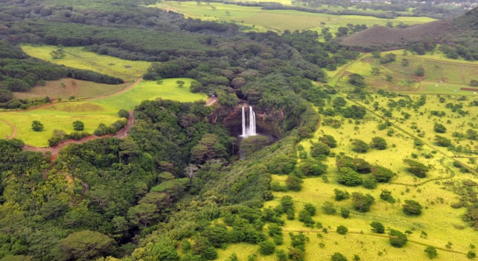 The island of Kauai to do some major hiking with my family! 