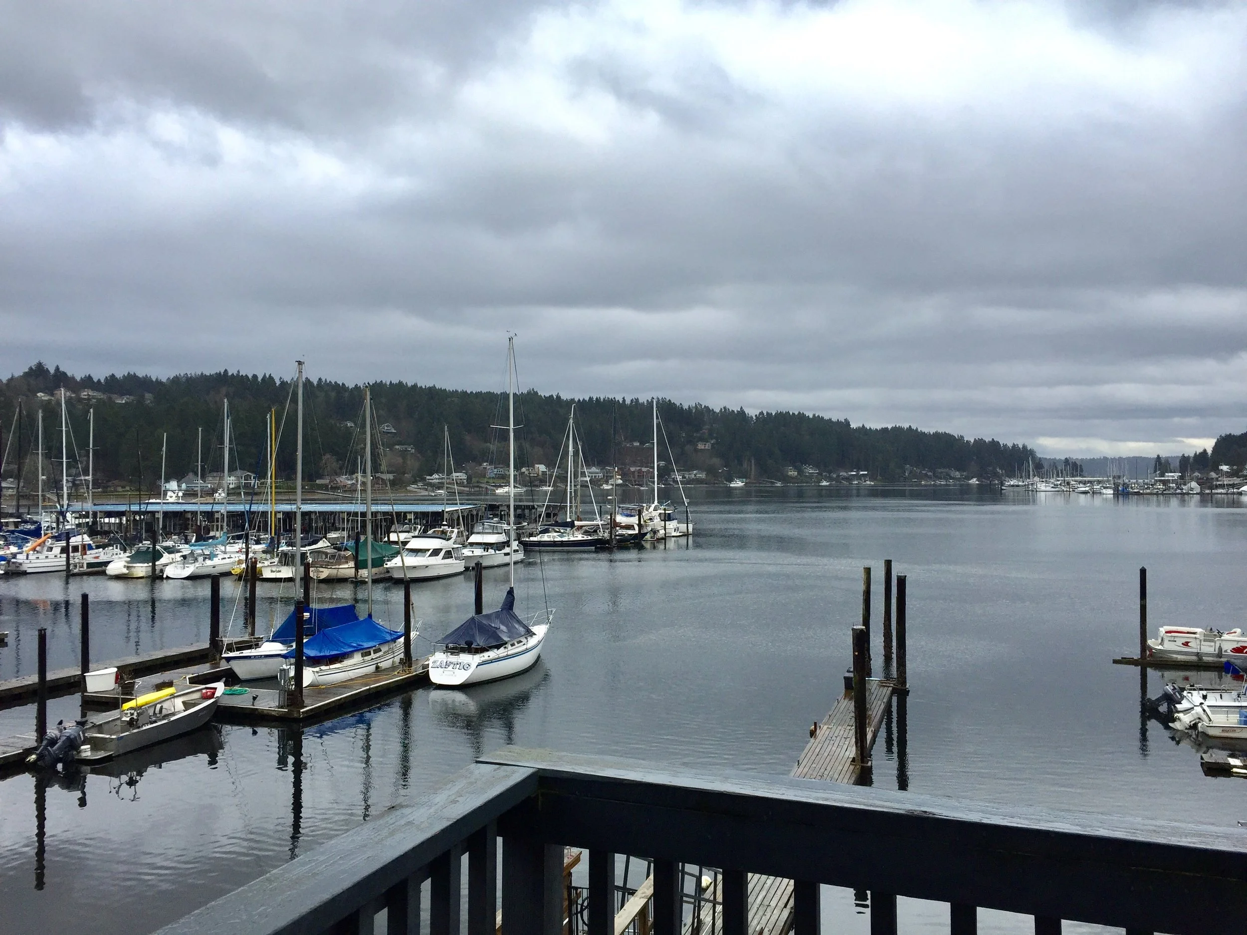 The view of the marina from our table. In the warmer weather you can sit right on the water.