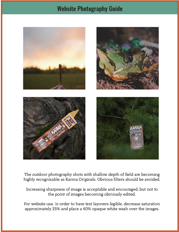 page3brandguide.jpg