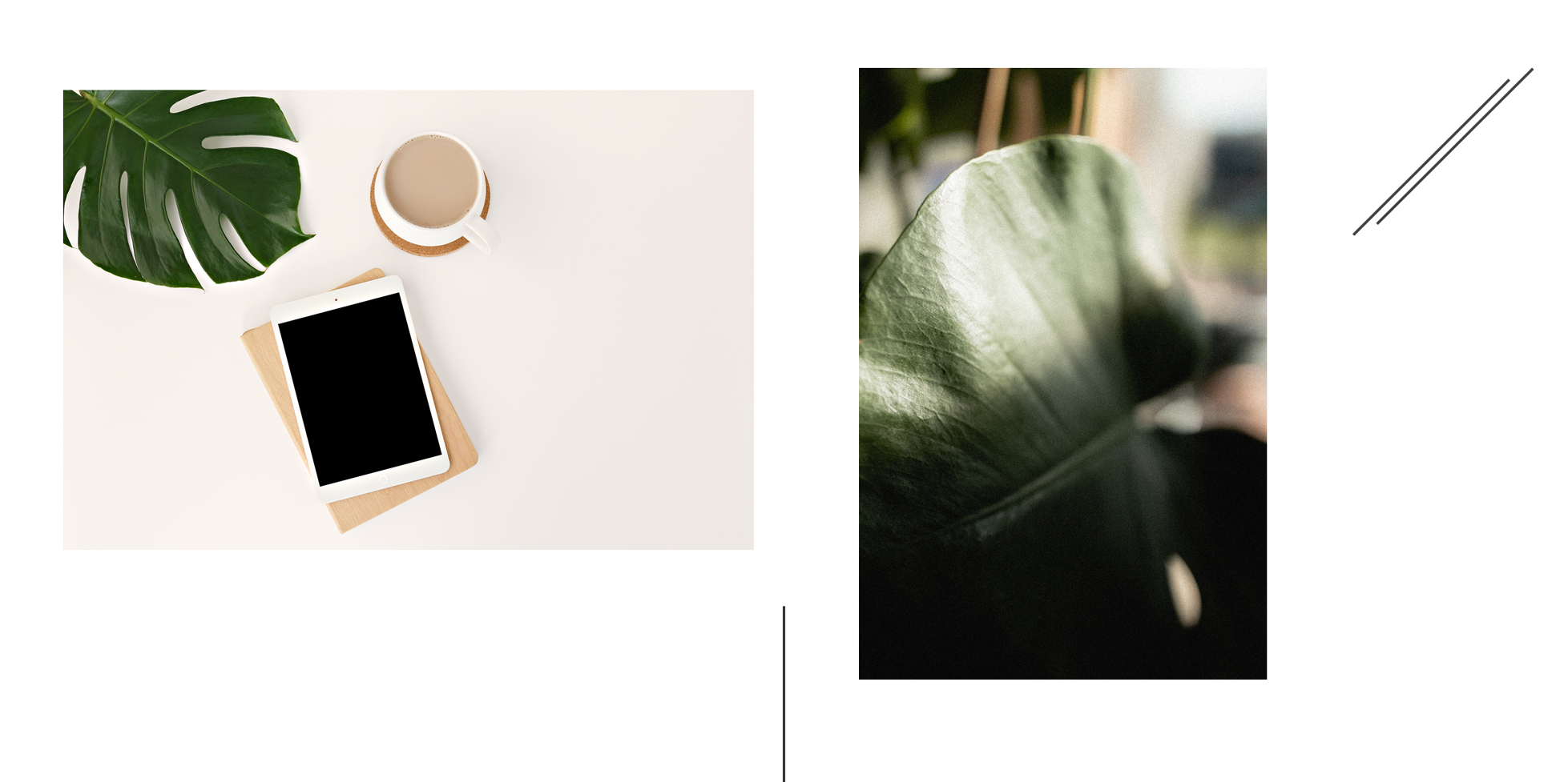 FAQpageheader.jpg