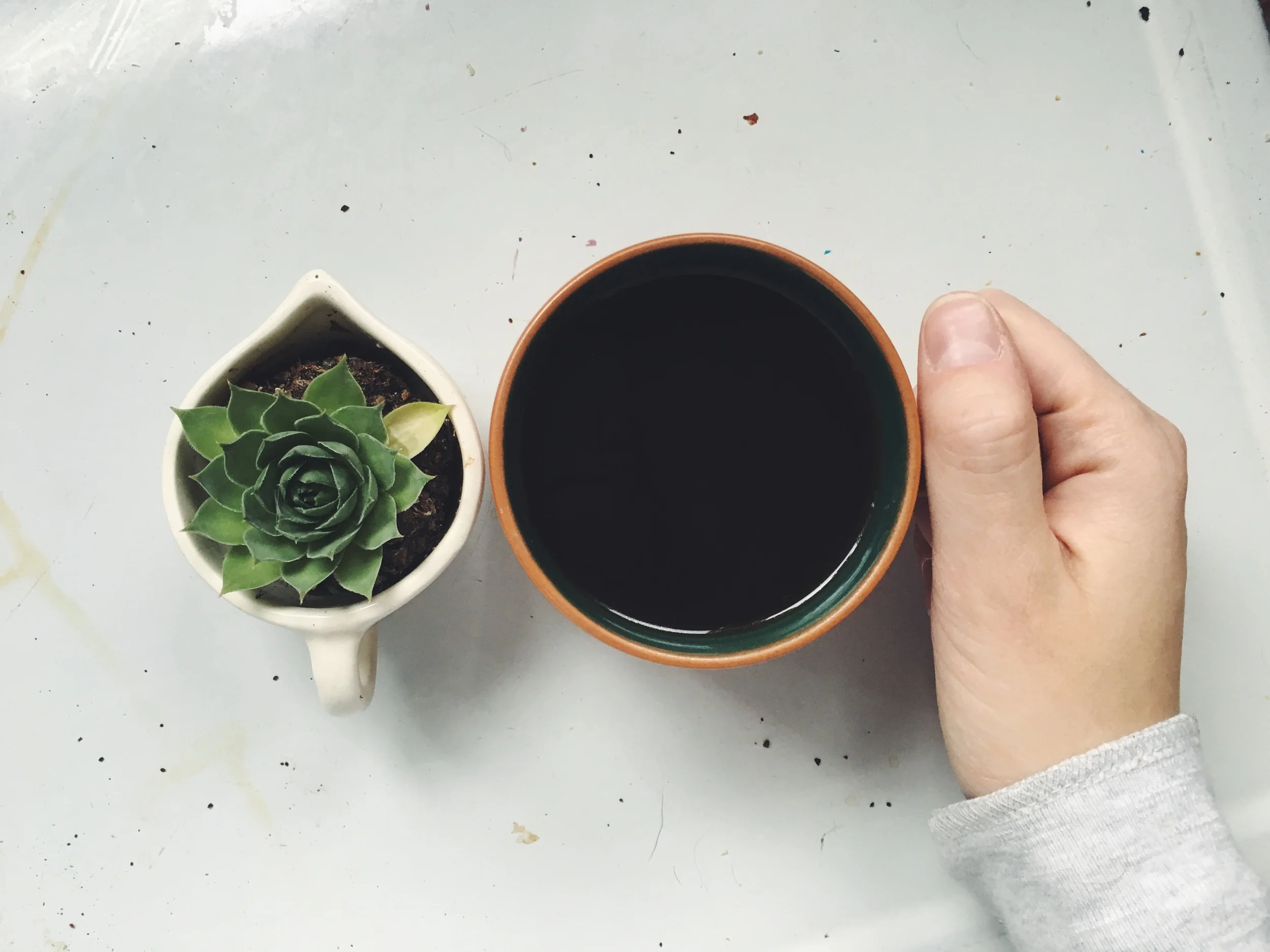 succulent-coffee-hand-simply-liv.jpeg