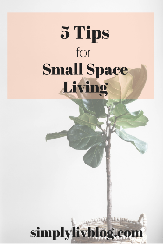 5-tips-for-small-space-living.jpeg