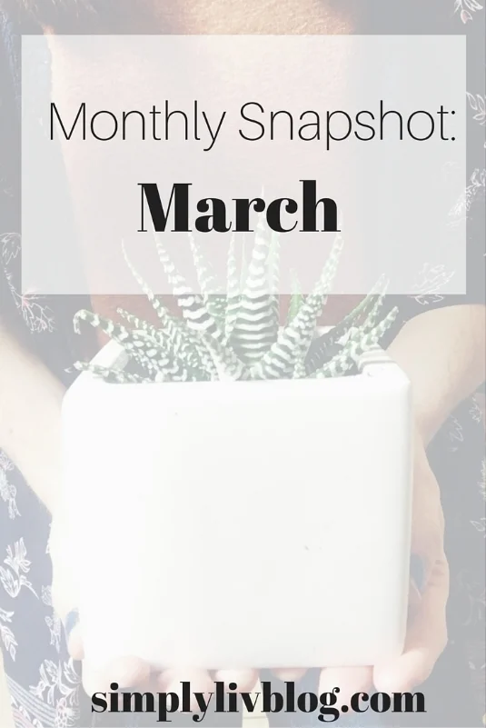 Montly-Snapshot-March.jpeg