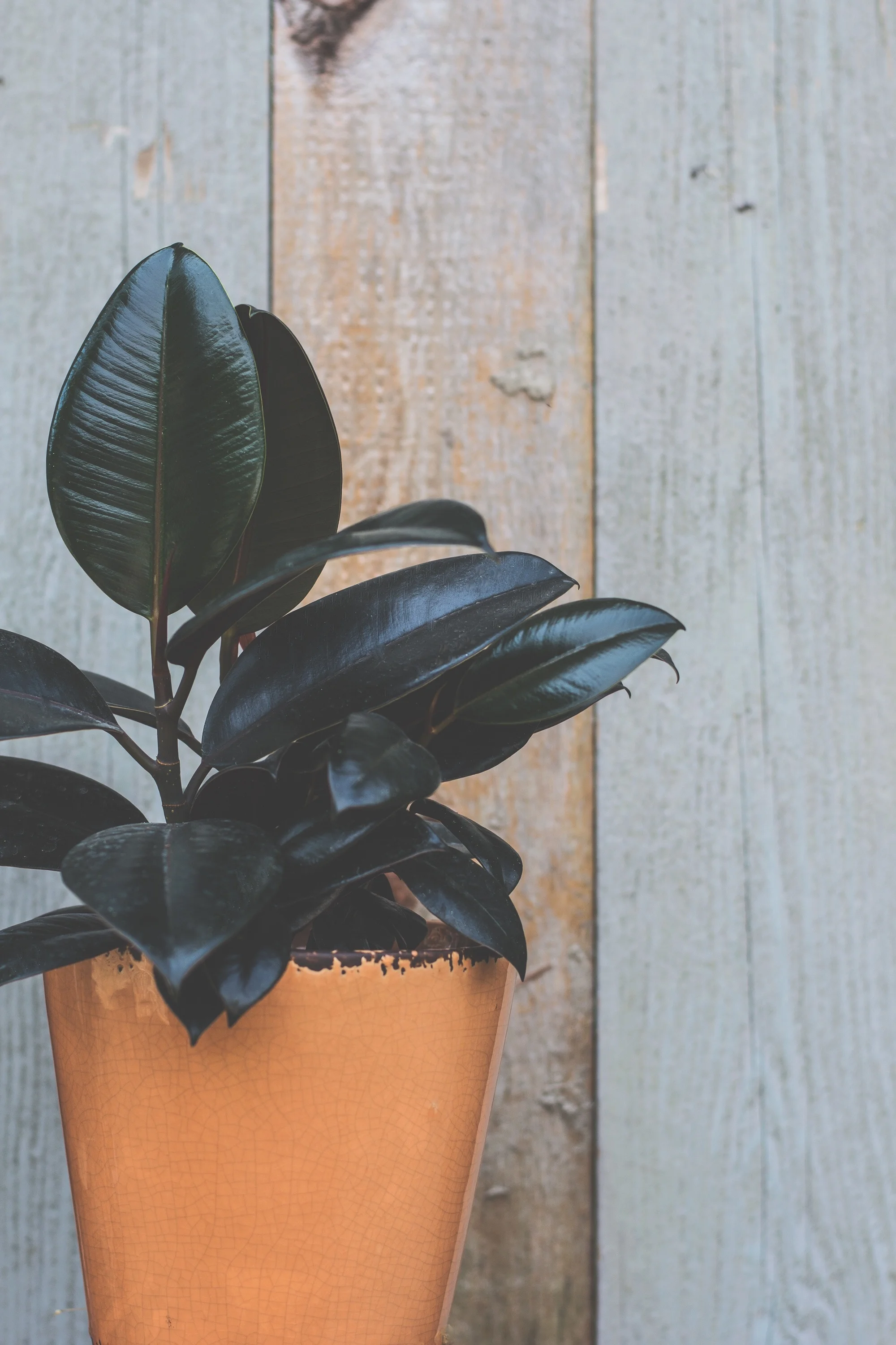Why Minimalism *Should Be* More Than Another Trend