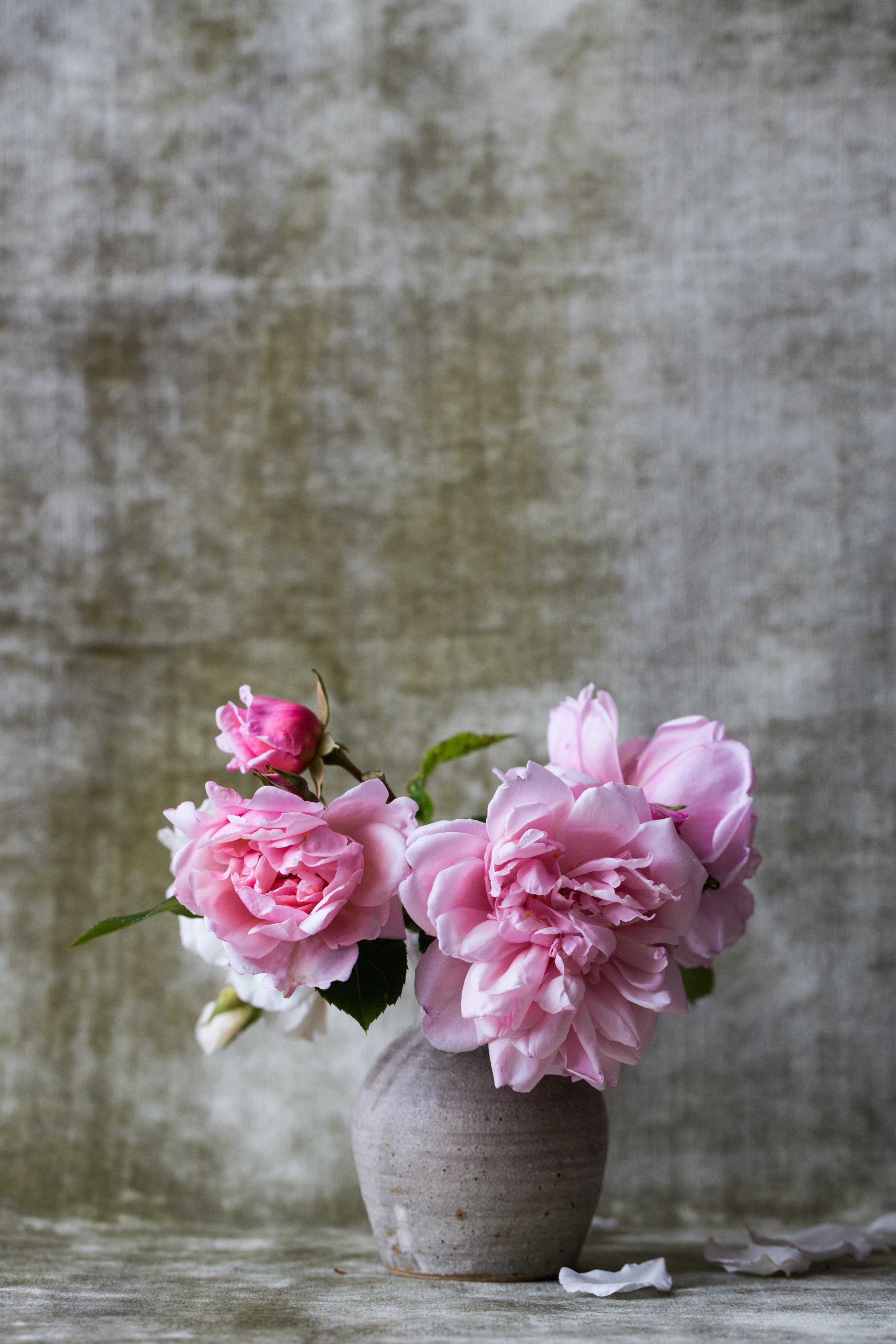 the-simplicity-of-springtime.jpeg