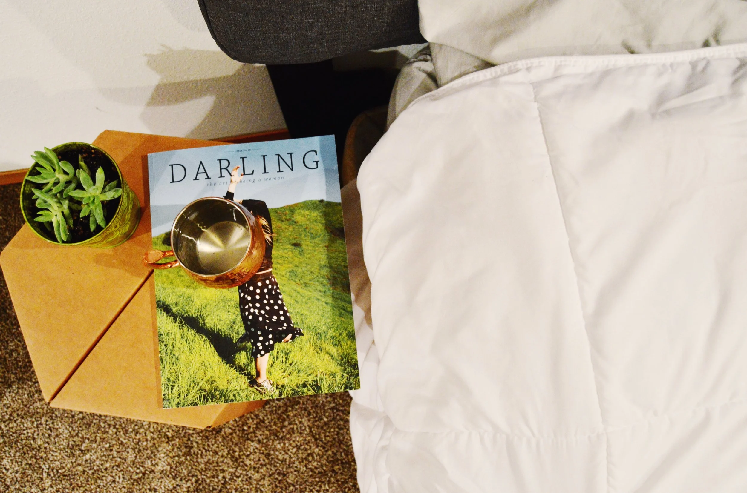 Karton || Cardboard Reimagined 