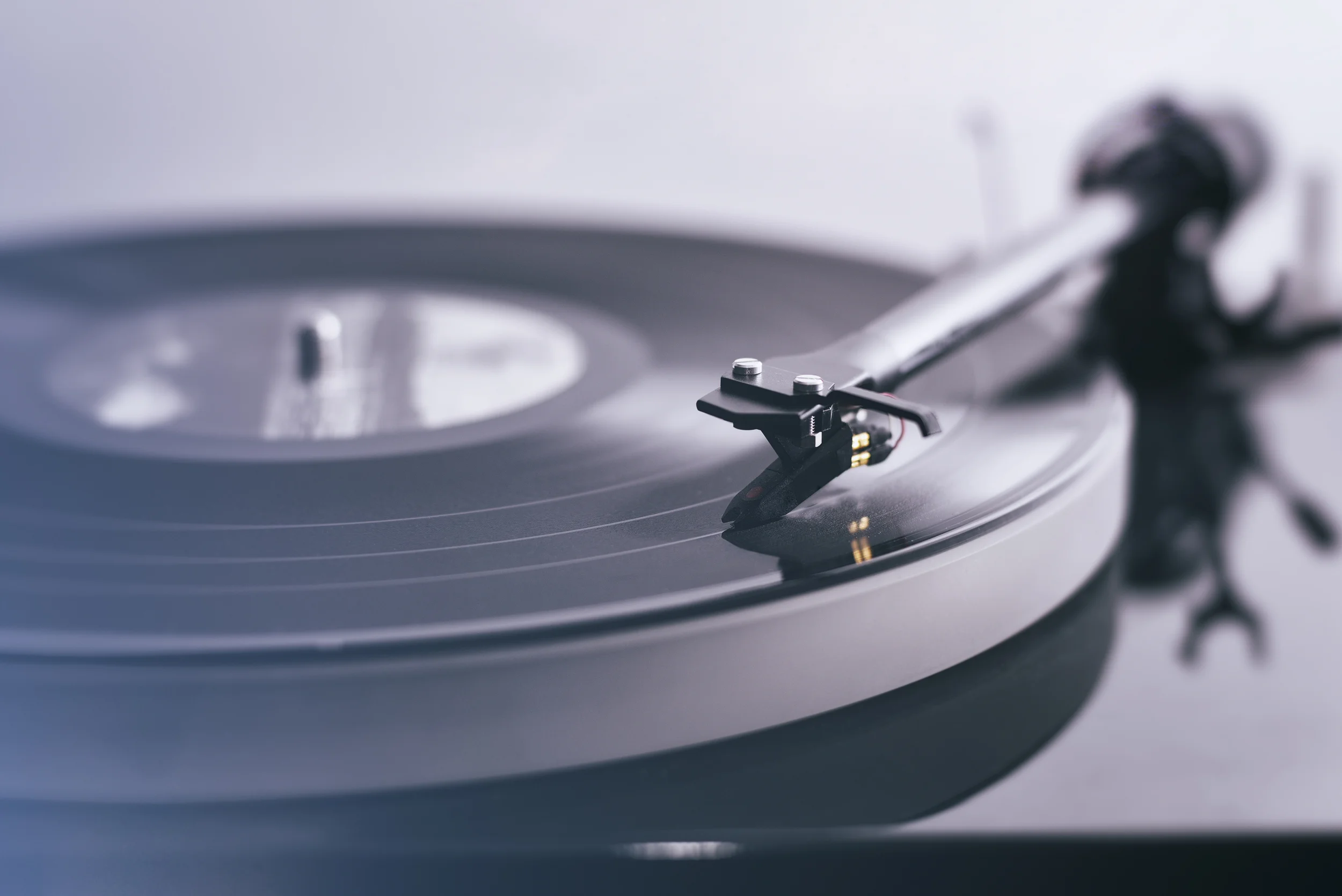 Vinyl Stock Photo 300dpi.jpg