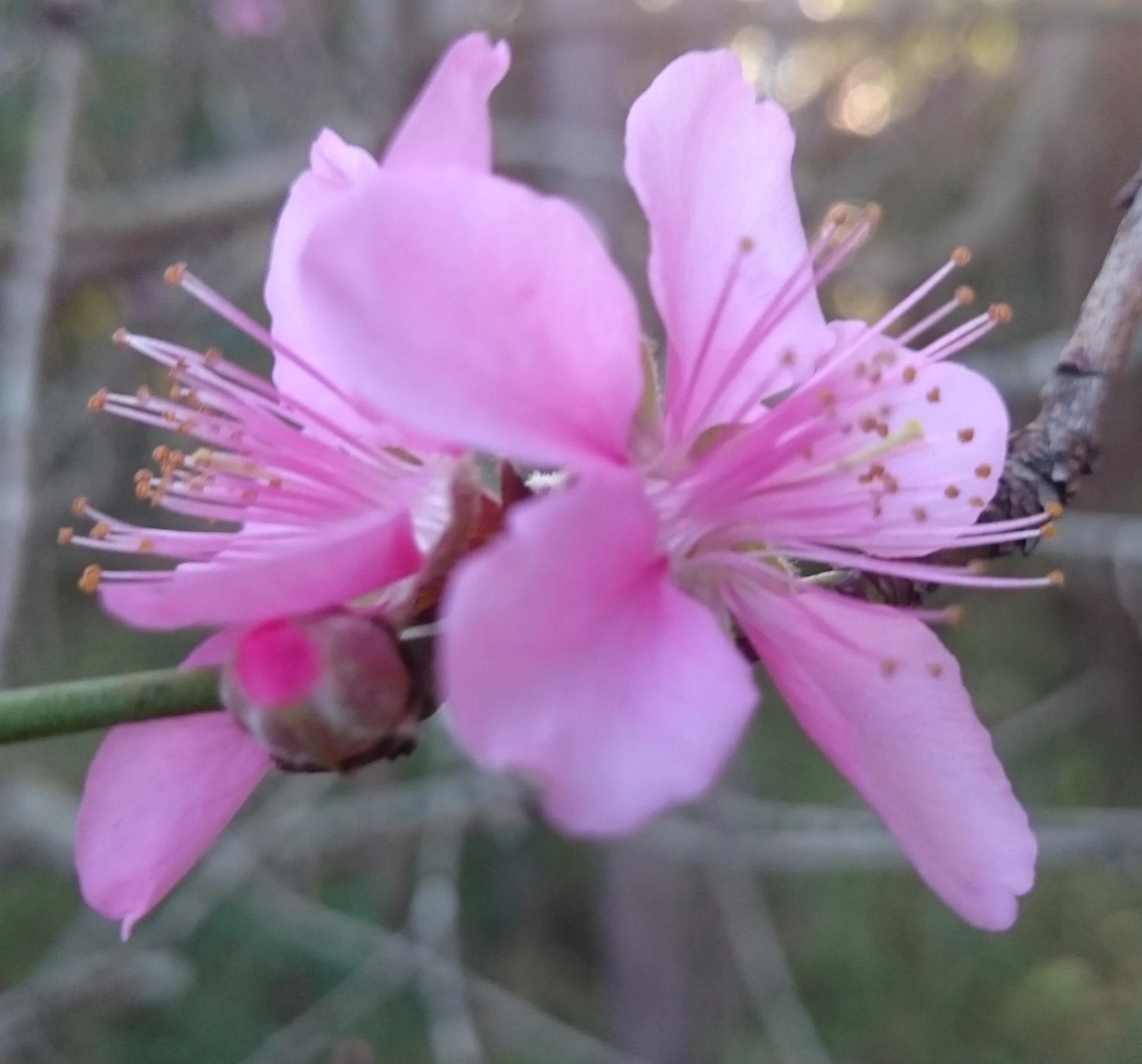 Self acceptance and Self nurturing.