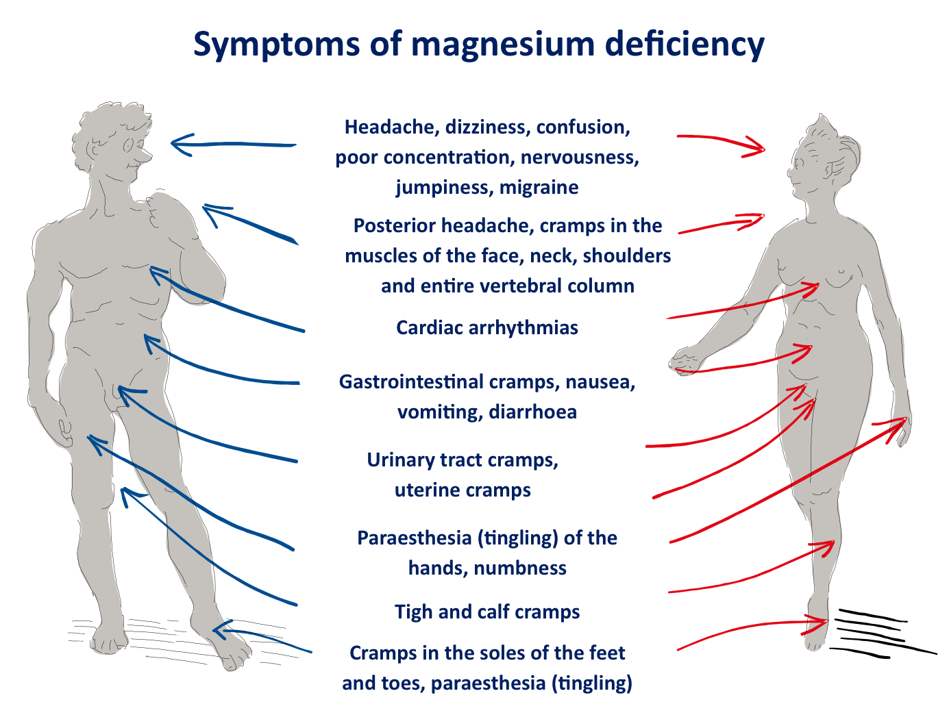 magnesium.png