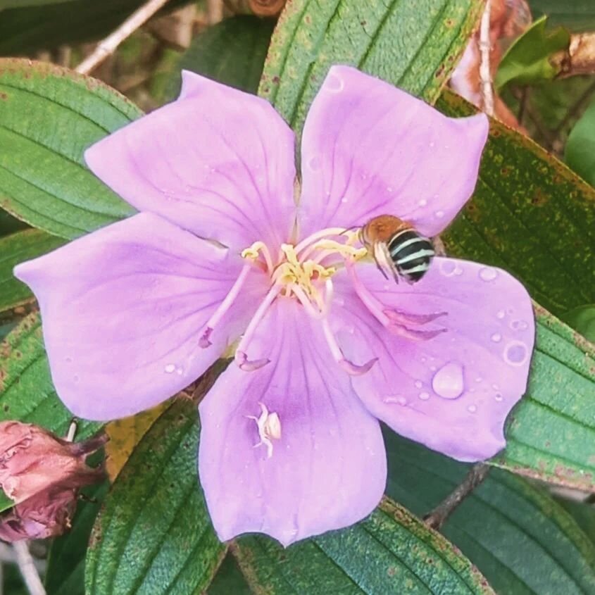 Nature is my go to for just about everything 🌿 I find that connecting on a daily basis helps physical, emotional, psychological and spiritual healing. Especially in those times when we're feeling overwhelmed with what is going on in the world, or th