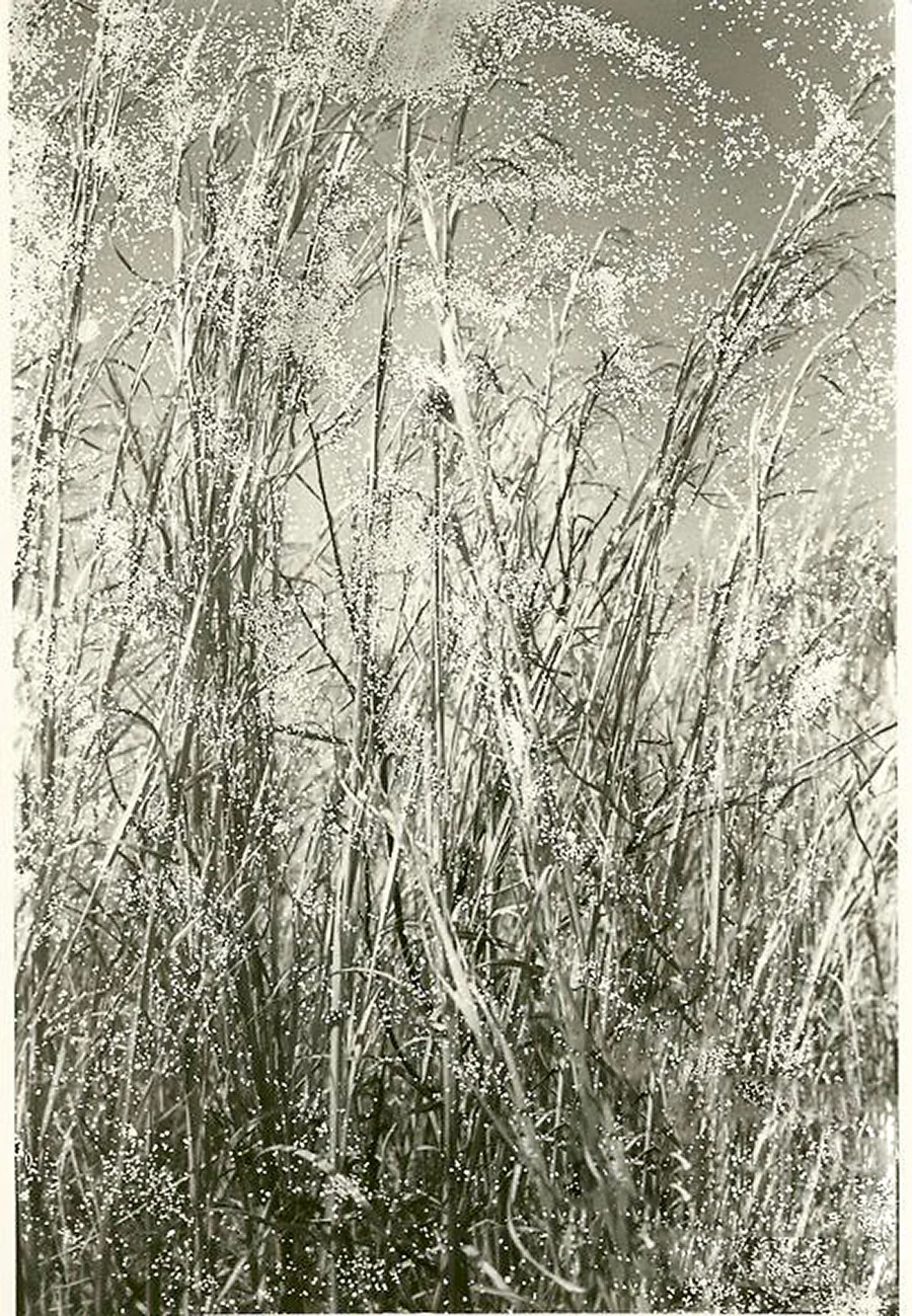 a9c86b_92e8aab9cca04d309cd49b3ec8bdd04e.jpg