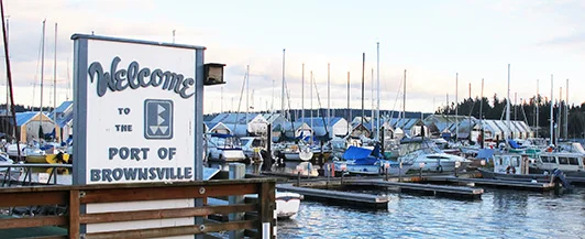 ZOOM - HAPS Annual Meeting 2020