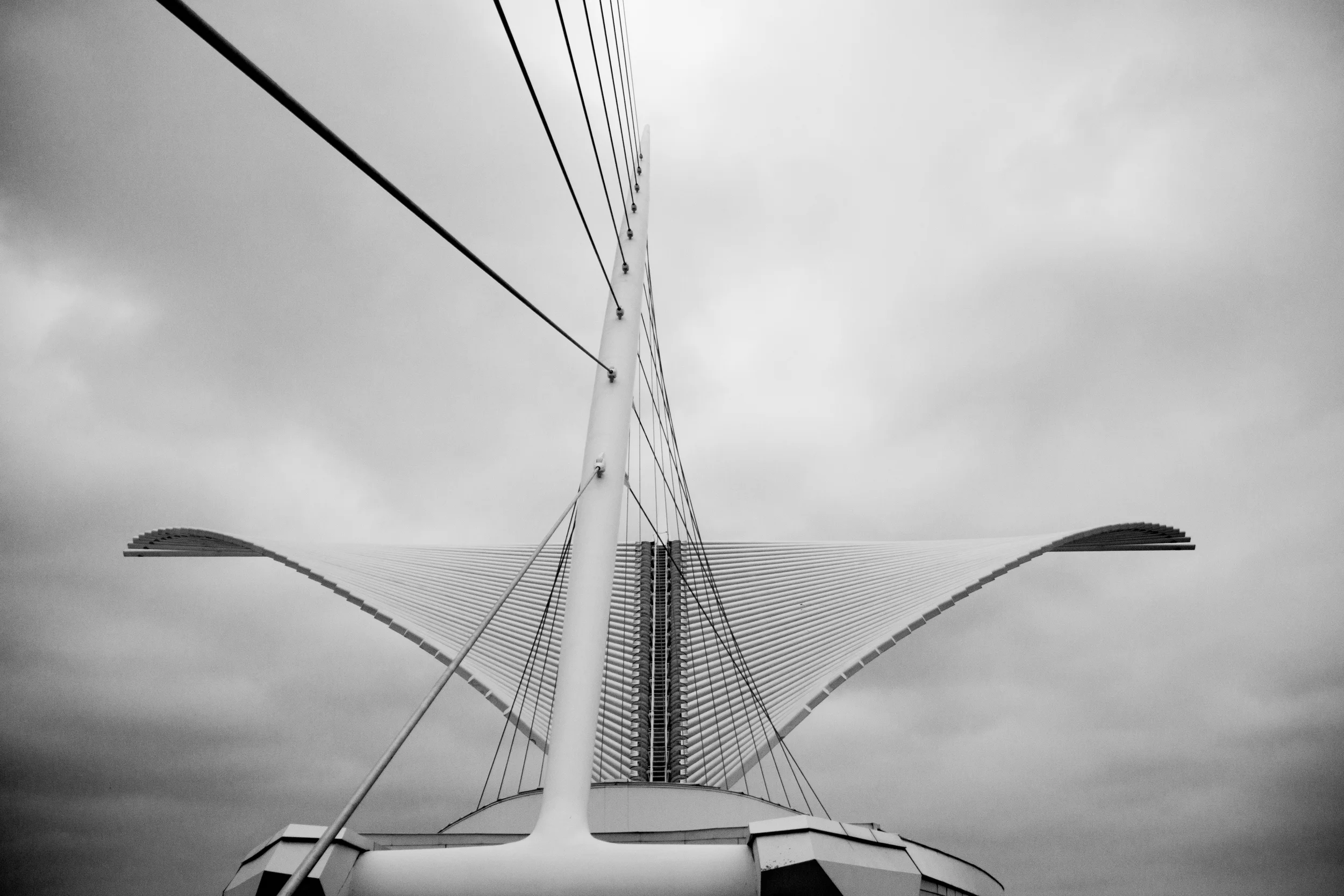 _MG_3734.jpg