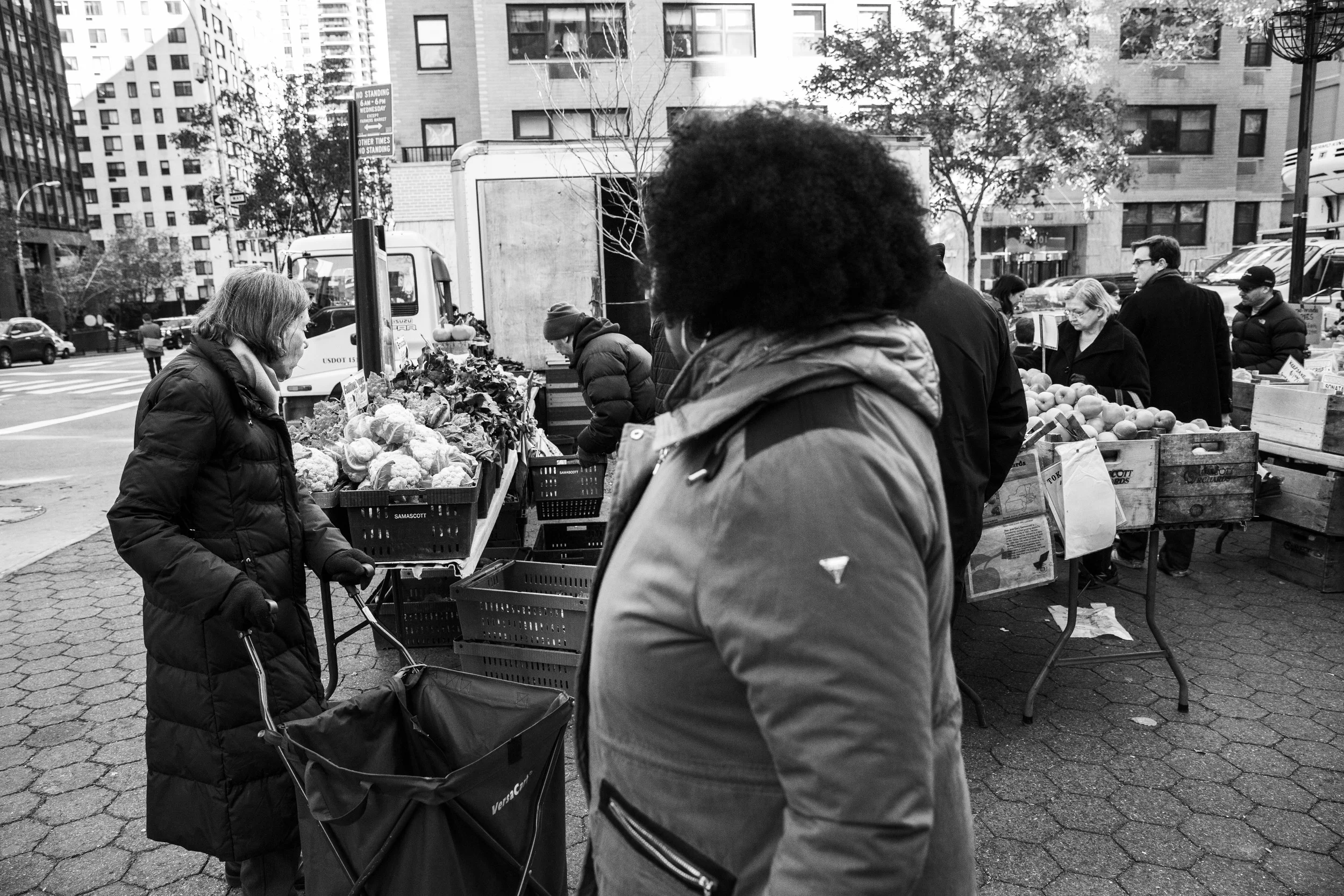 Winter 2015 New York