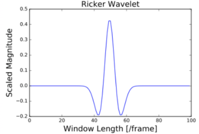 Ricker Wavelet Signal