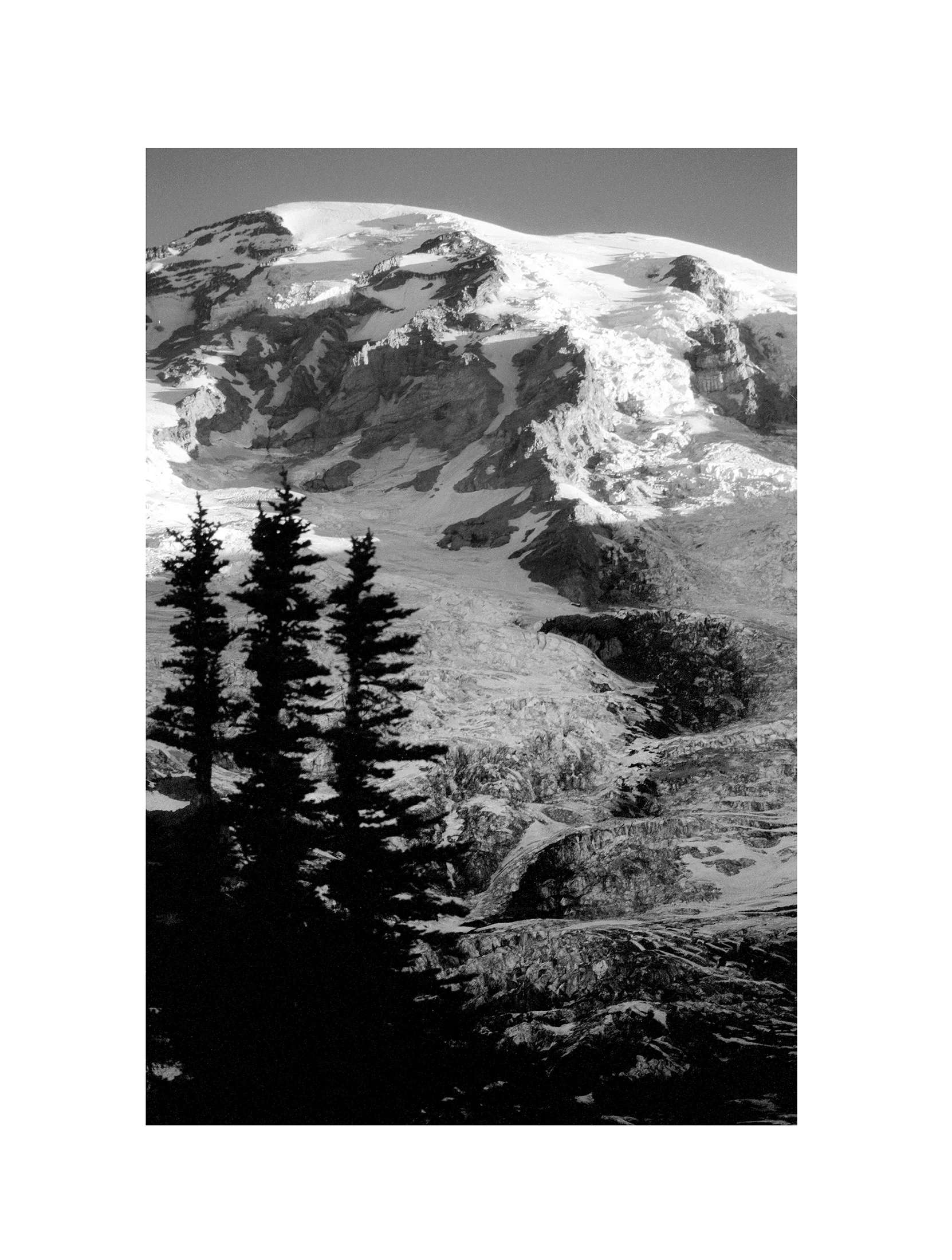 Mt. Rainier NP 08.jpg