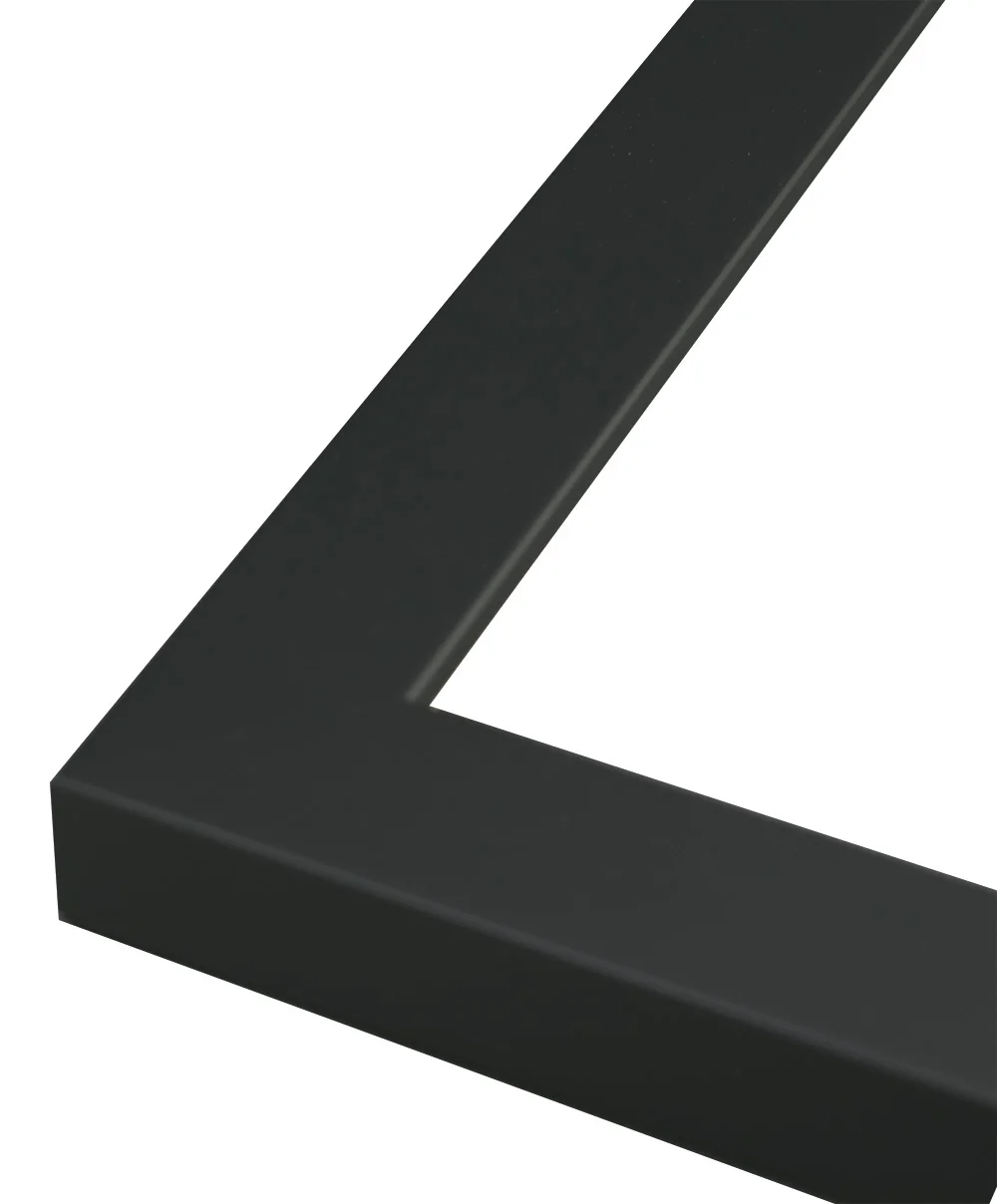 Price and Printing Matrix