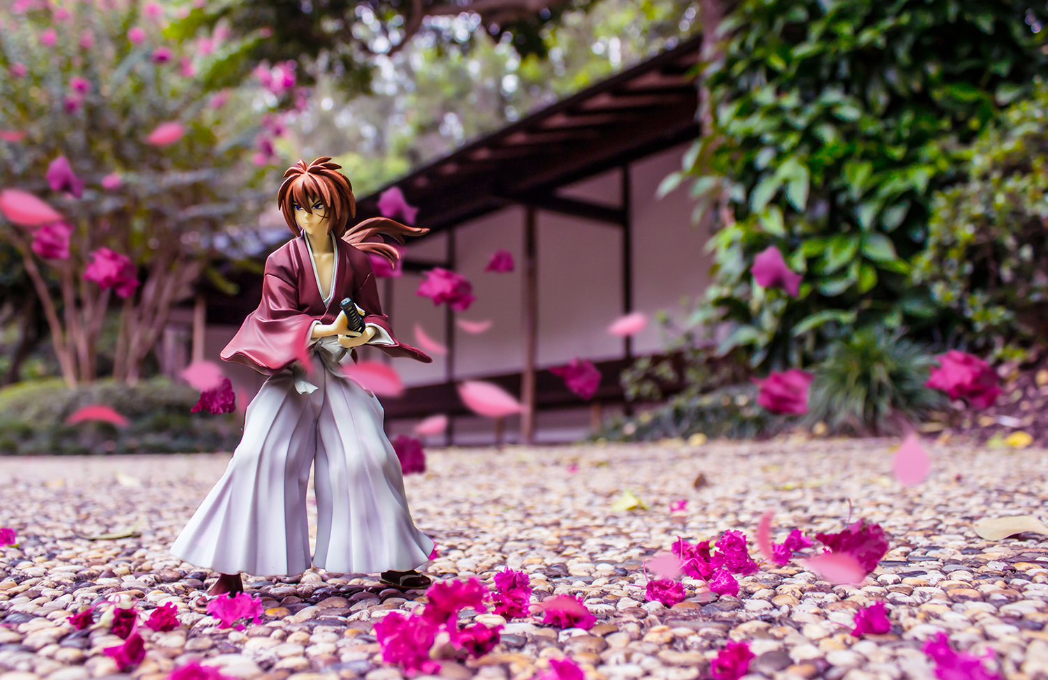 kenshin.jpg