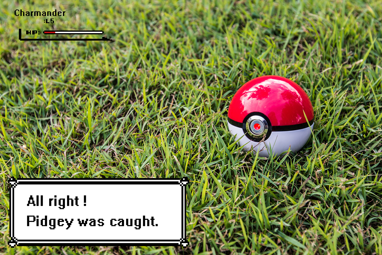 Pokemon Screeny.jpg
