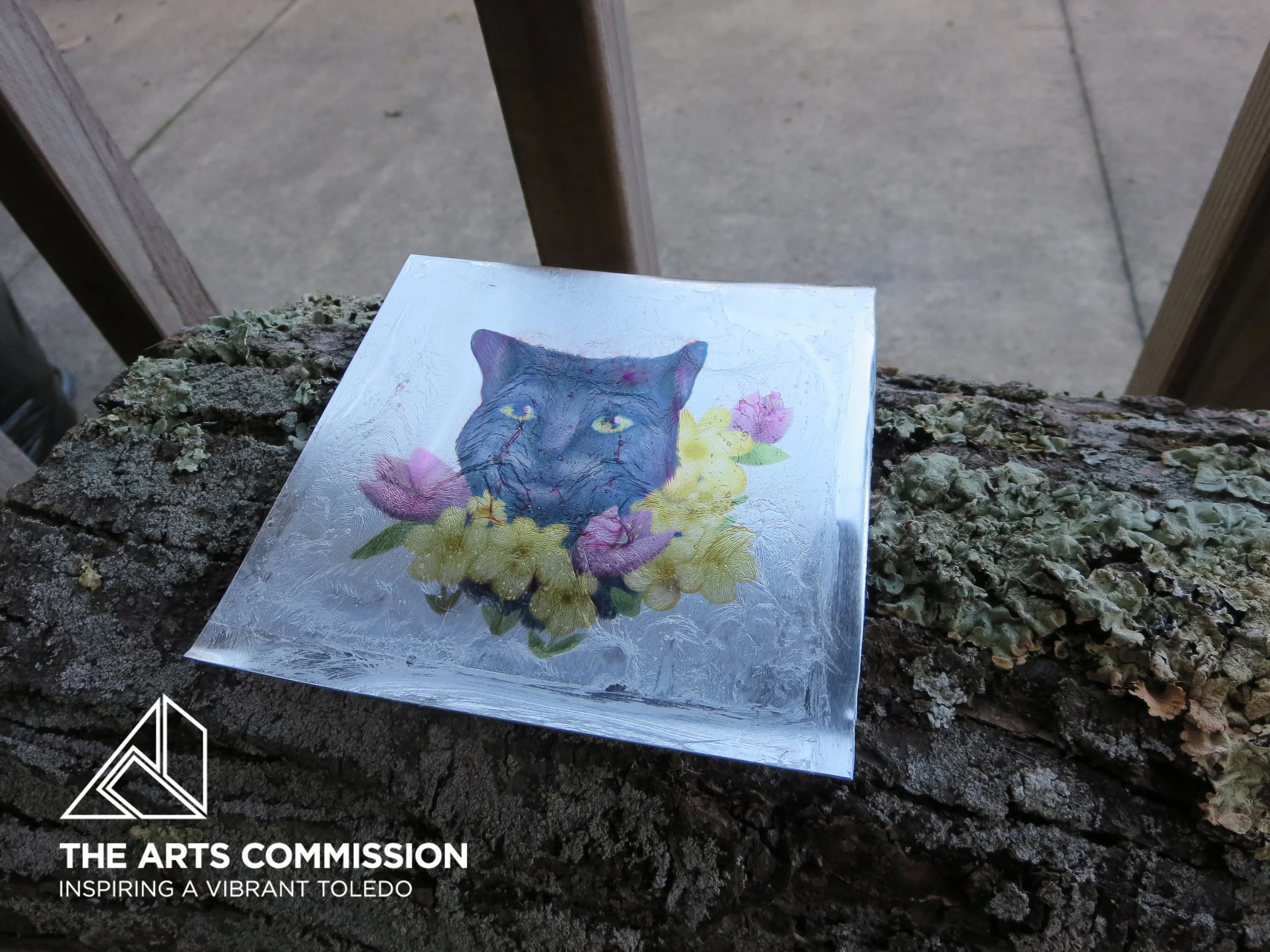 This project is partially funded by an Arts Commission Accelerator Grant made possible through support from ProMedica & the Ohio Arts Council