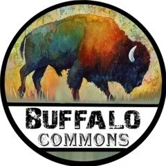 Buffalo Commons Album Release Party