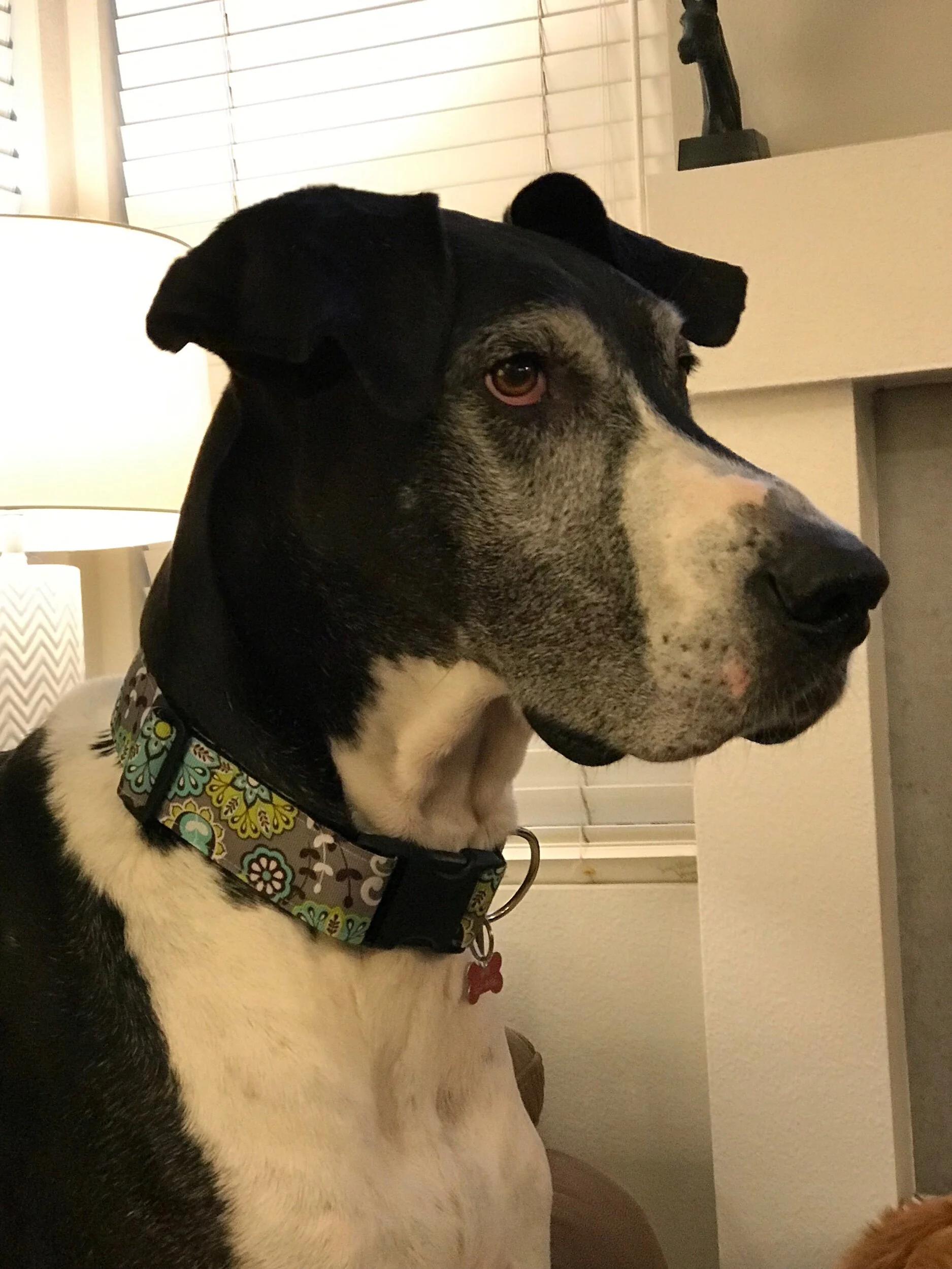 1902984D-64B9-4636-BF18-F60B9655E5E5