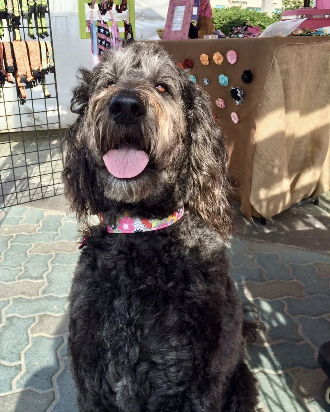 740252E6-01D6-431B-B49C-03B06989EF9F