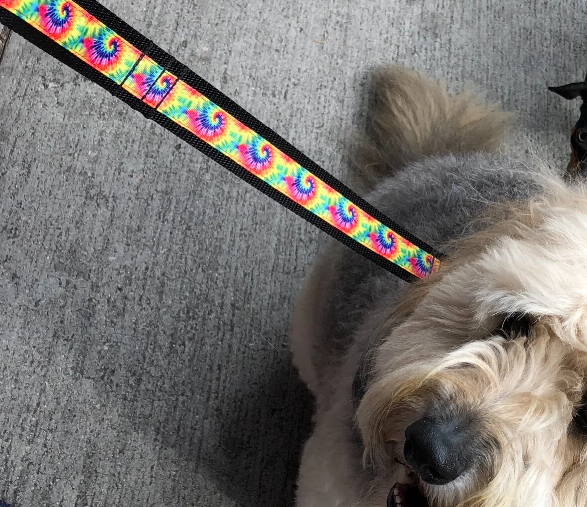 50CFEB6D-F56C-4108-A90B-7E26310645AD