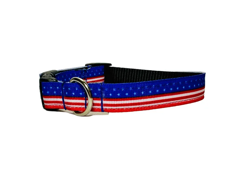 09EA6763-2C8B-4C2C-9BFA-AF3D20D4A82B