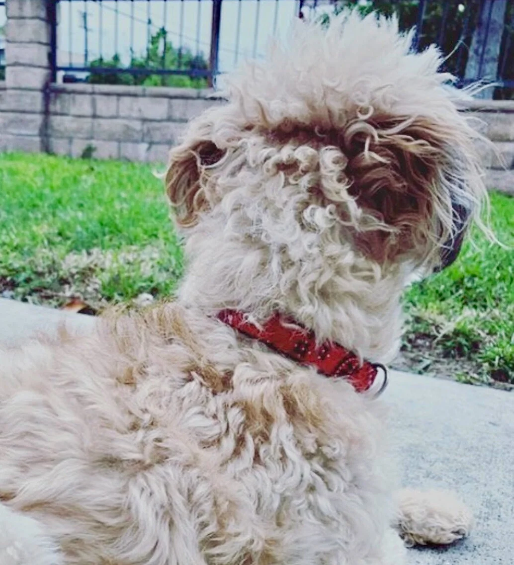 6737054F-F518-455C-AAD0-BADFA7FD6FA8