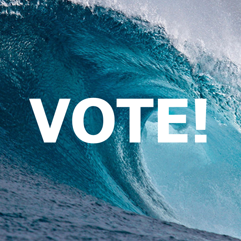 VOTE! VOTE! VOTE!