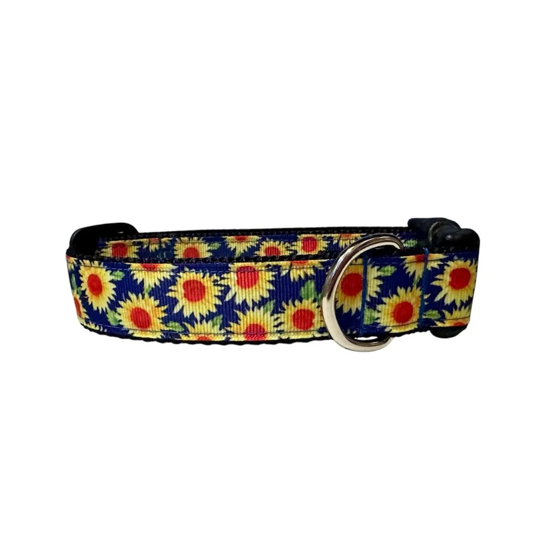 sunflowers on blue.jpg