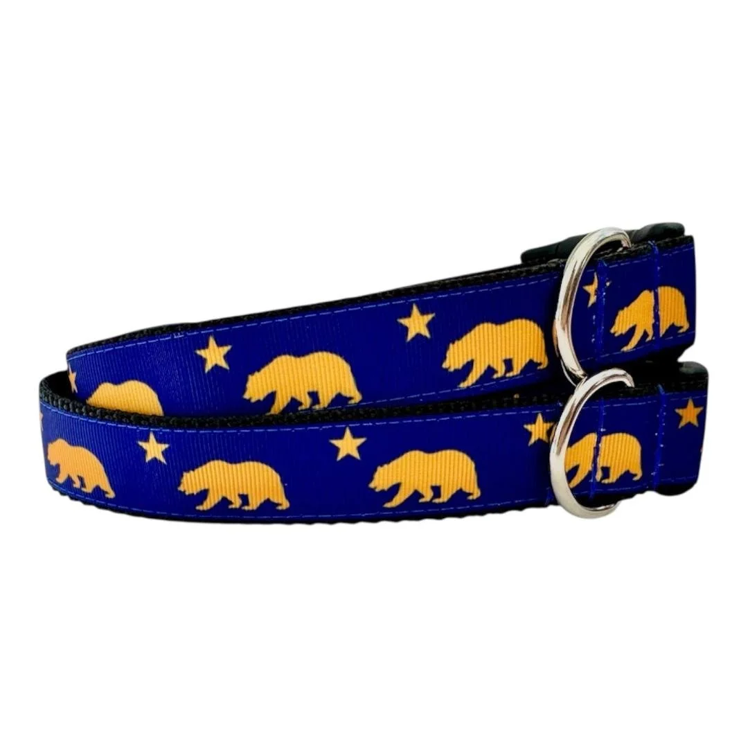 ca bear 2.jpg