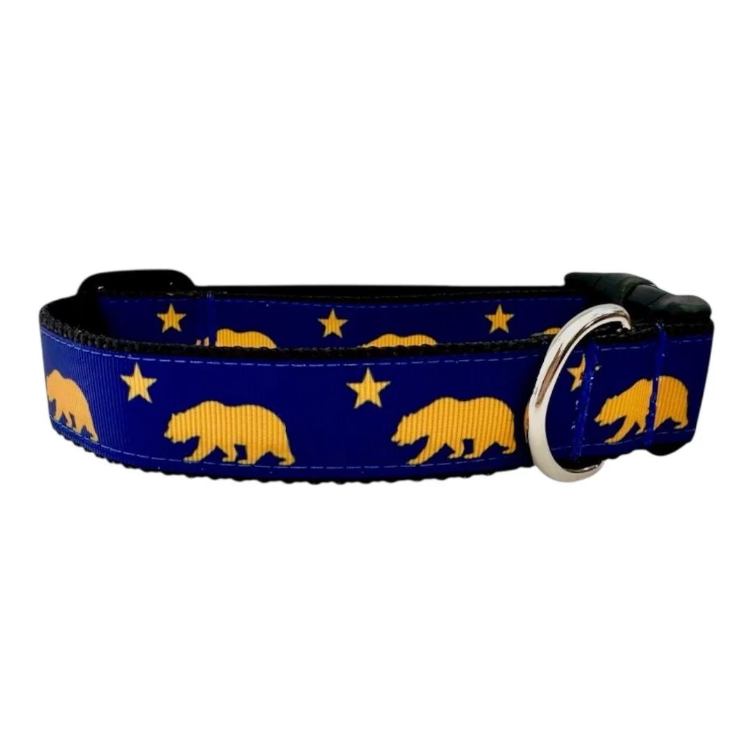 ca bear.jpg