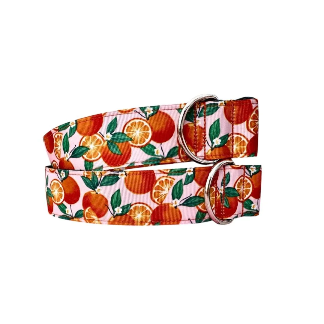 oranges on peach wide.jpg