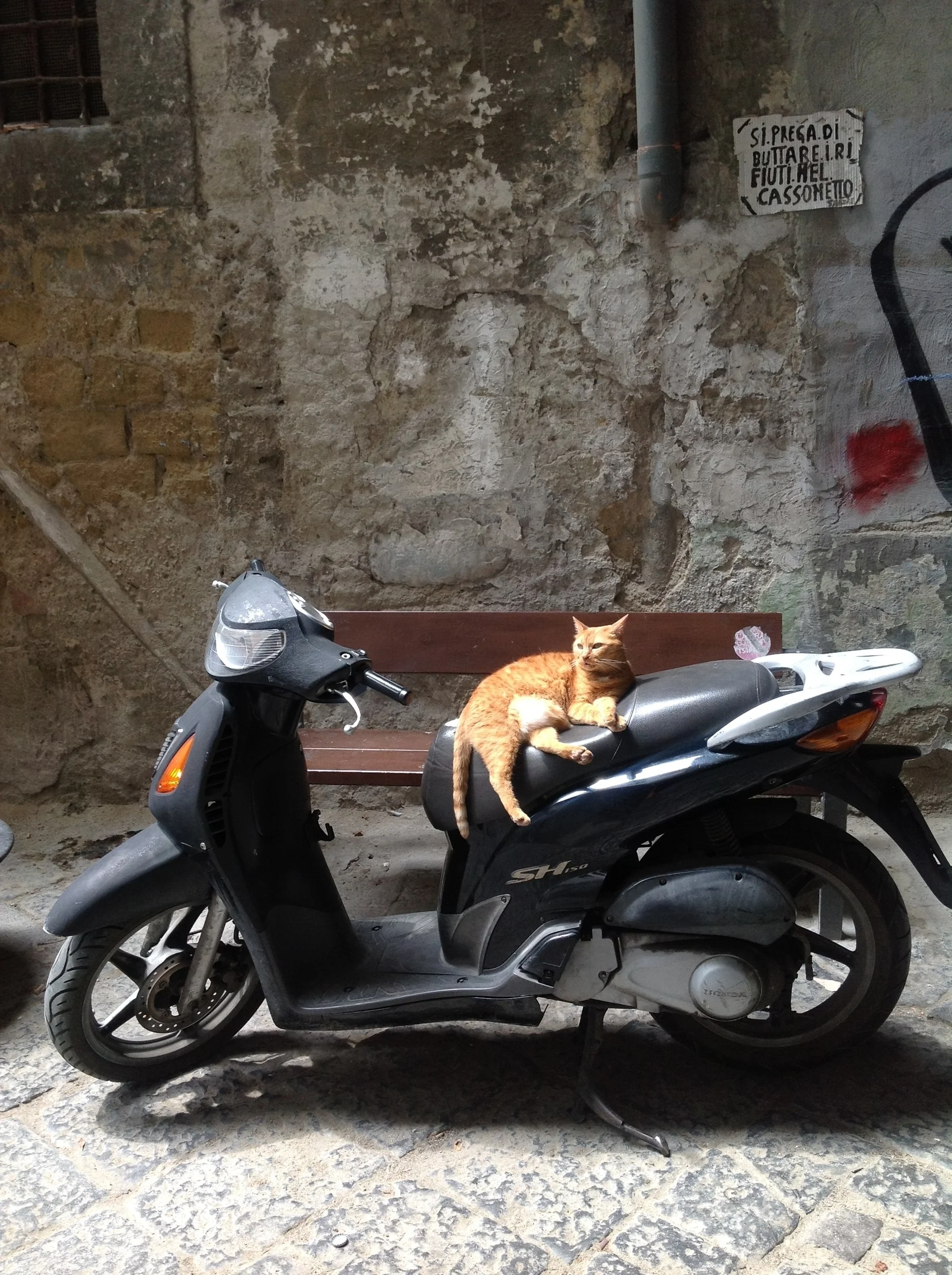   Jonathan is an award-winning poet, playwright and prose writer.&nbsp;His genre-bending work bridges the personal and the political, and is often inspired by his travels to far-flung, dangerous places,&nbsp;with an eye toward the humourous and absur