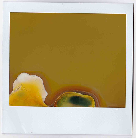 To be a vallery one, altered polaroid, 2016.jpg