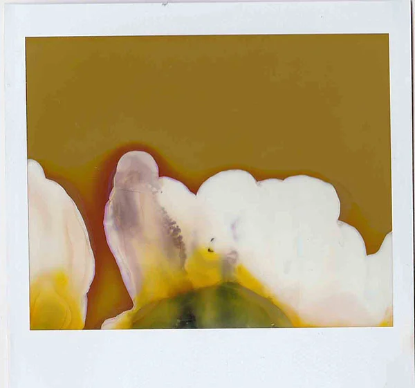 To be a vallery one, altered polaroid, 2016.jpg