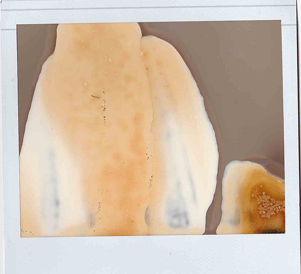 To be a vallery one, altered polaroid, 2016.jpg