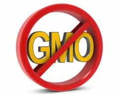 Do You GMO?