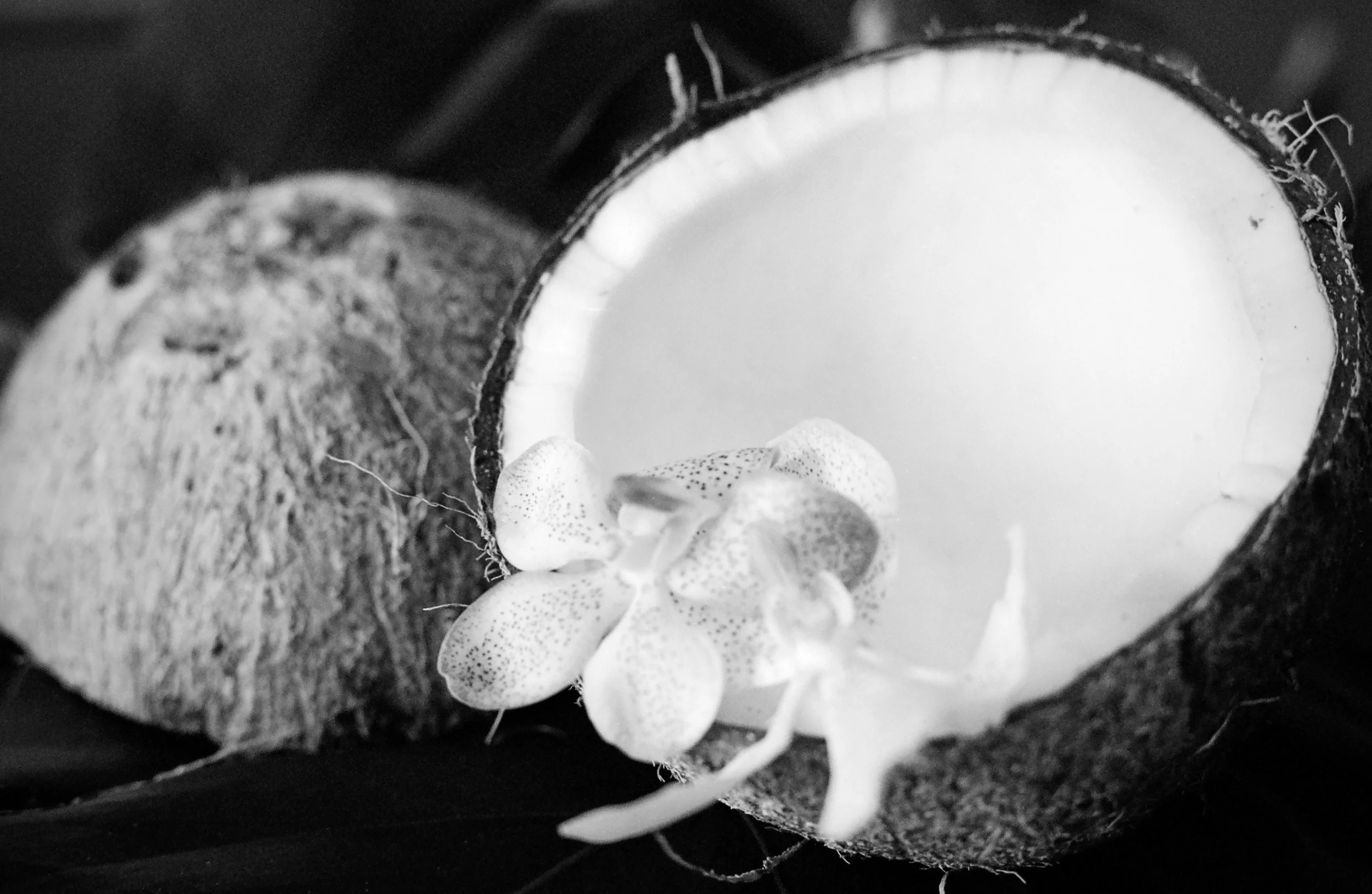 Food Freedom Friday Edition 15