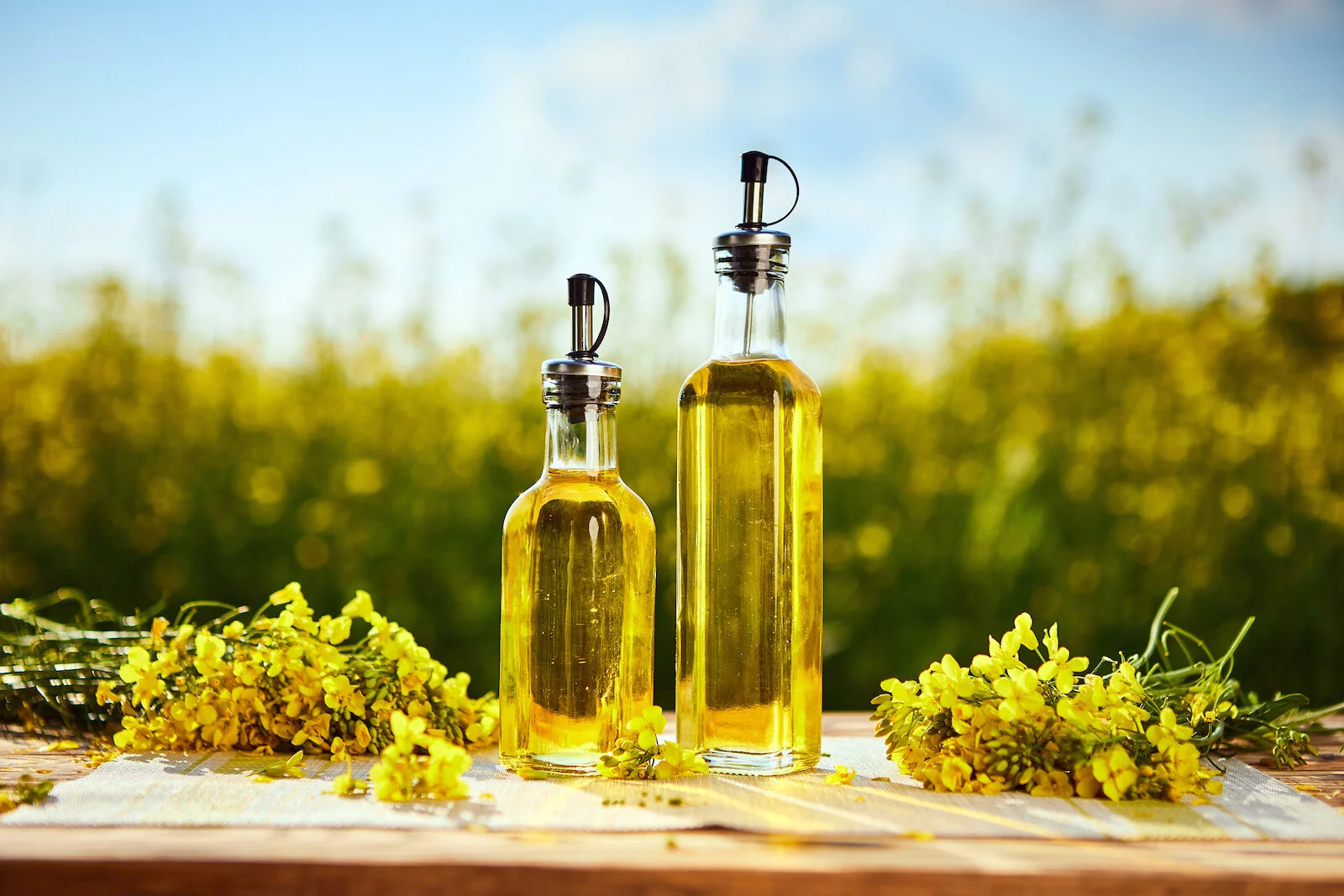 Food Freedom Friday Edition 258 - Ditch The Vegetable Oils
