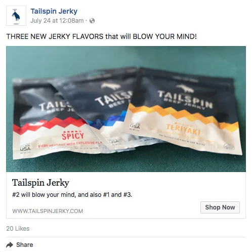 TailSpinJerky_Mobile_FB_0000_Layer Comp 1 copy.jpg
