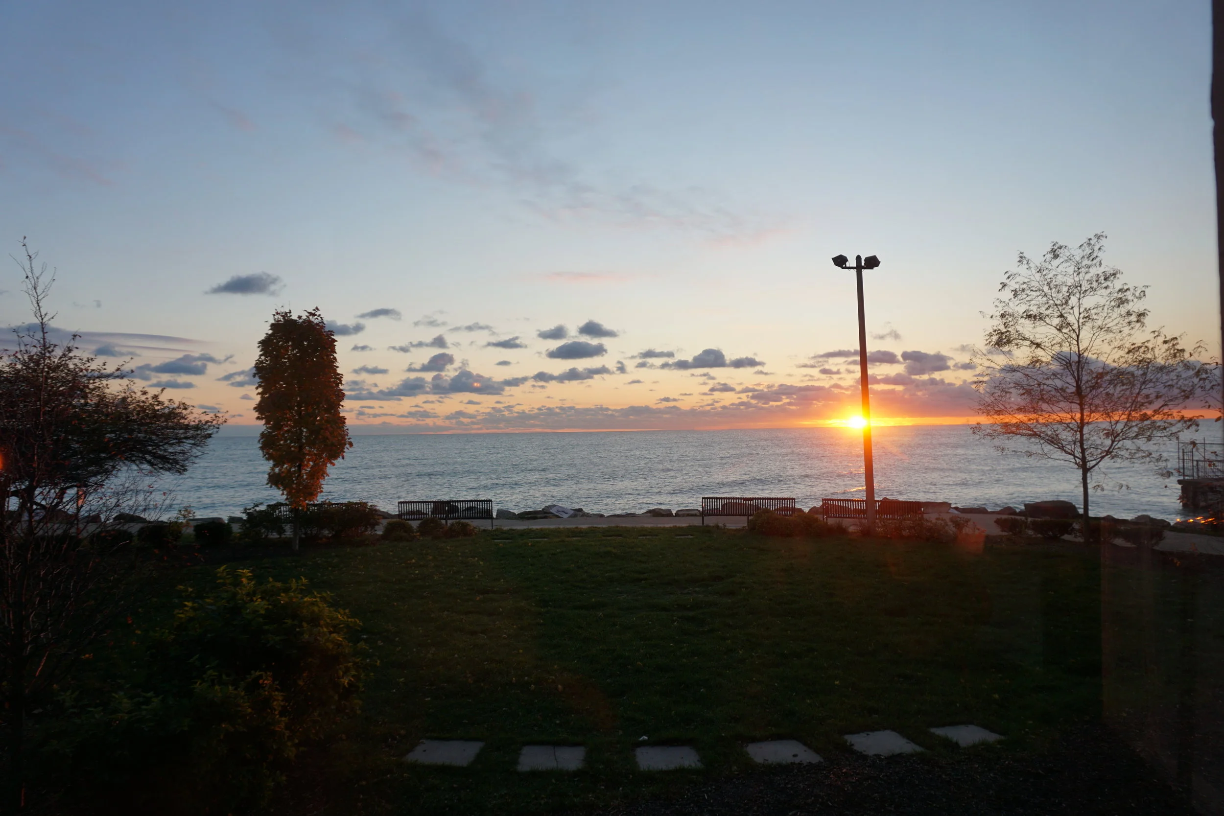 DSC01530.jpg