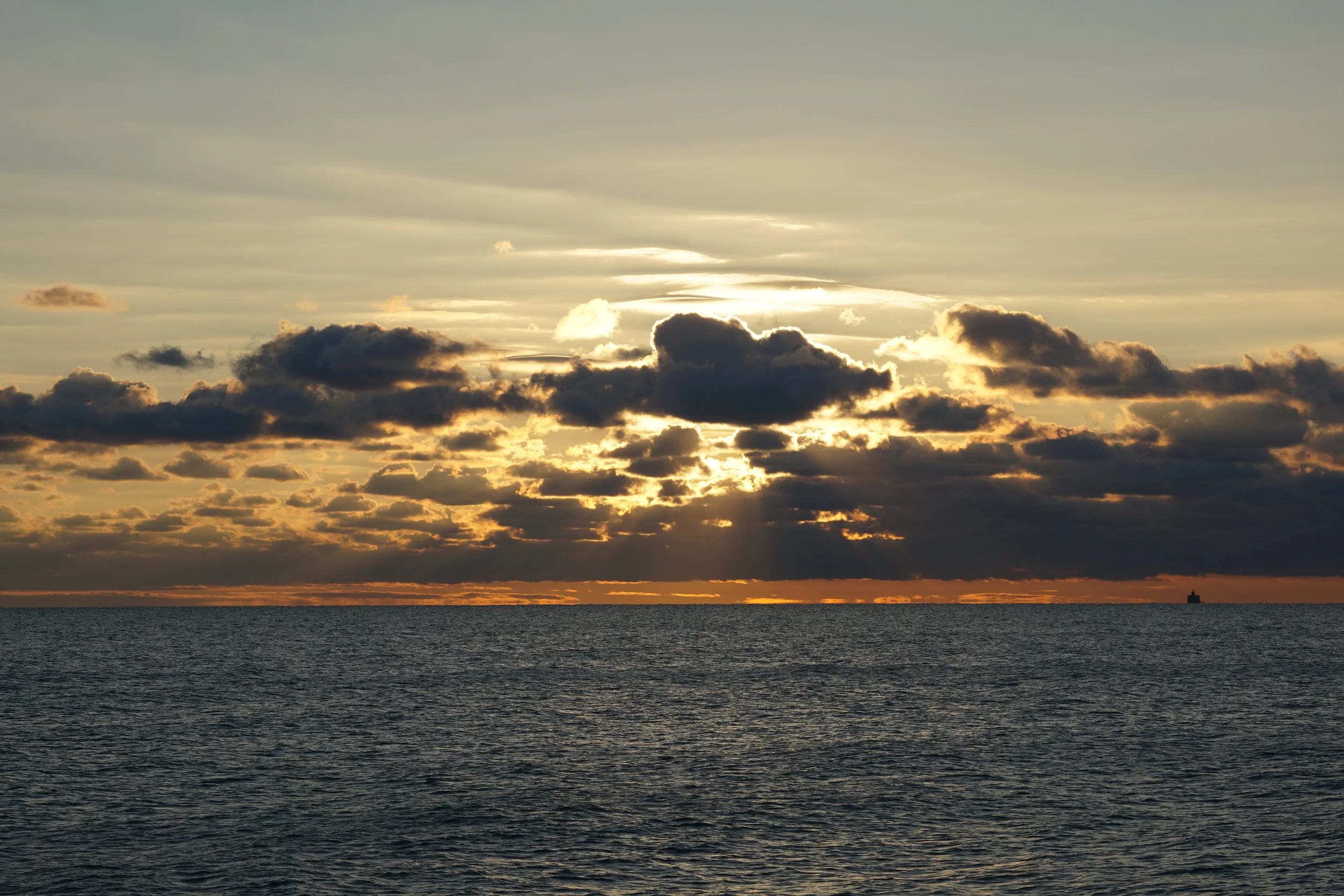 DSC01548.jpg