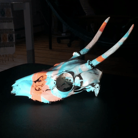 deercover.gif