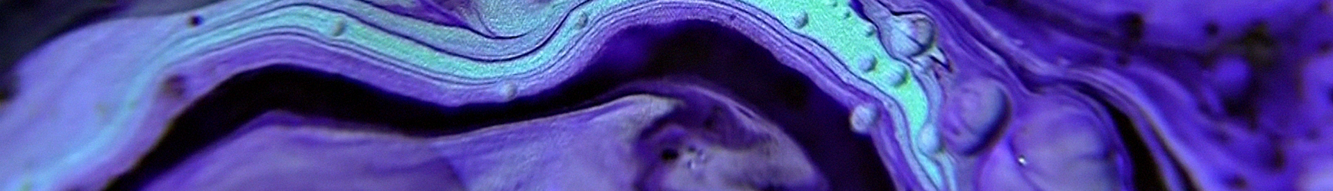 background 15.png