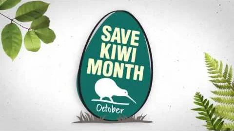 Save Kiwi Month runs for the month of October. Find out more on Kuwi's Save Kiwi Month events here.