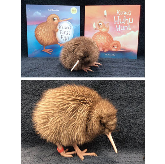 'Kuwi', the Rowi chick